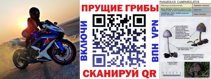 купить закладку  Ярцево  Псилоцибиновые грибы Psilocybine cubensis 