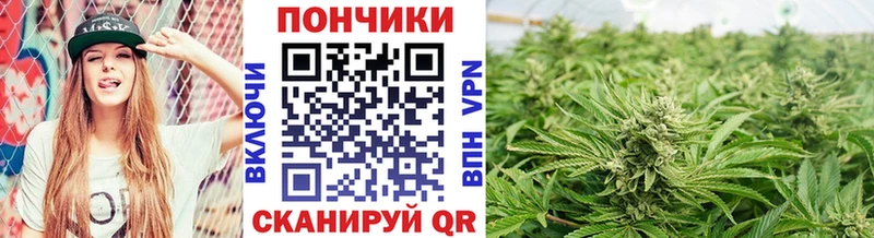 Конопля AK-47  Ярцево 